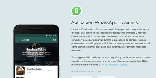 Cover for WhatsApp Business: Funcionalidades clave